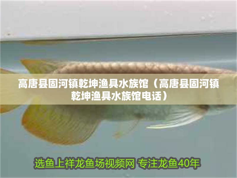 高唐縣固河鎮乾坤漁具水族館（高唐縣固河鎮乾坤漁具水族館電話） 高唐縣固河鎮乾坤漁具水族館（高唐縣固河鎮乾坤漁具水族館電話） 全國水族館企業名錄 第2張