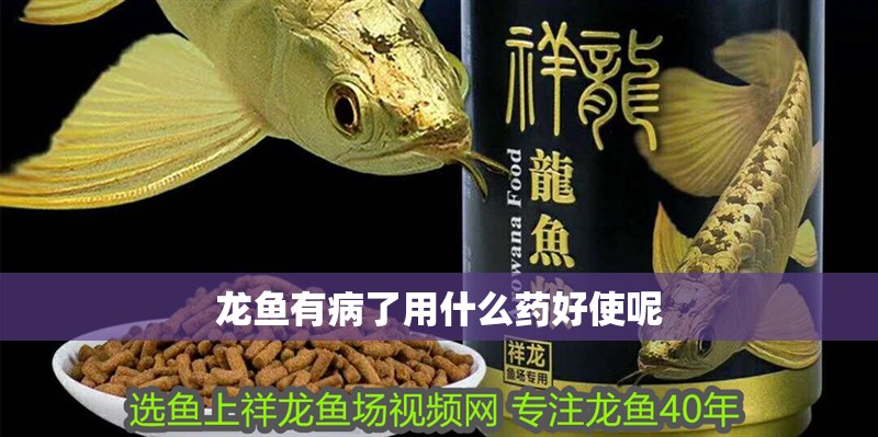 龍魚有病了用什么藥好使呢