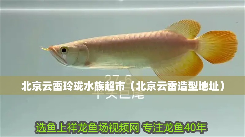 北京云雷玲瓏水族超市（北京云雷造型地址）