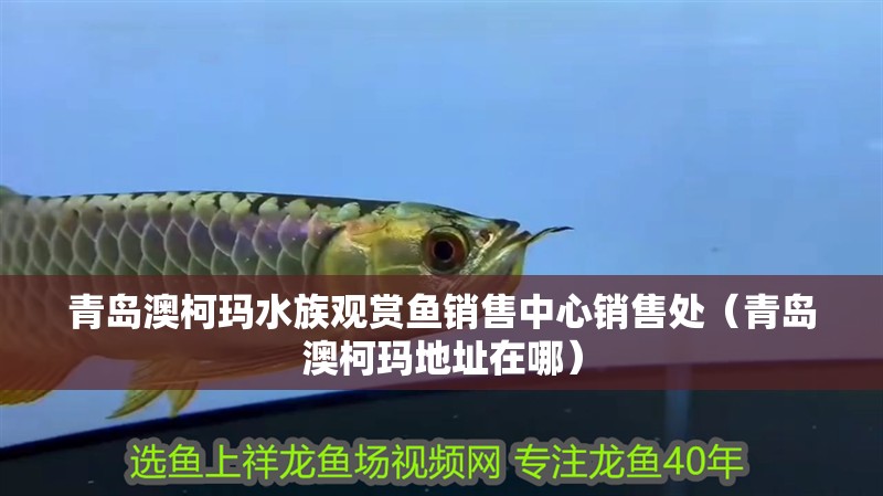 青島澳柯瑪水族觀賞魚銷售中心銷售處（青島澳柯瑪地址在哪）