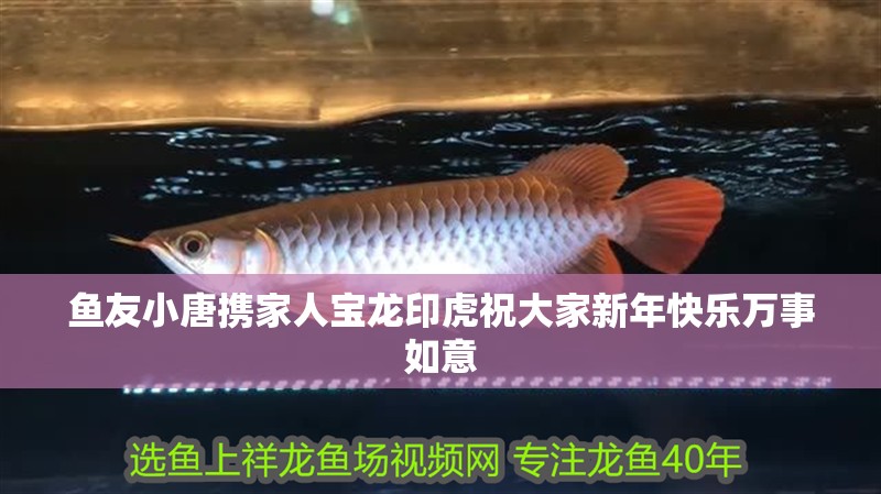 魚友小唐攜家人寶龍印虎祝大家新年快樂萬事如意