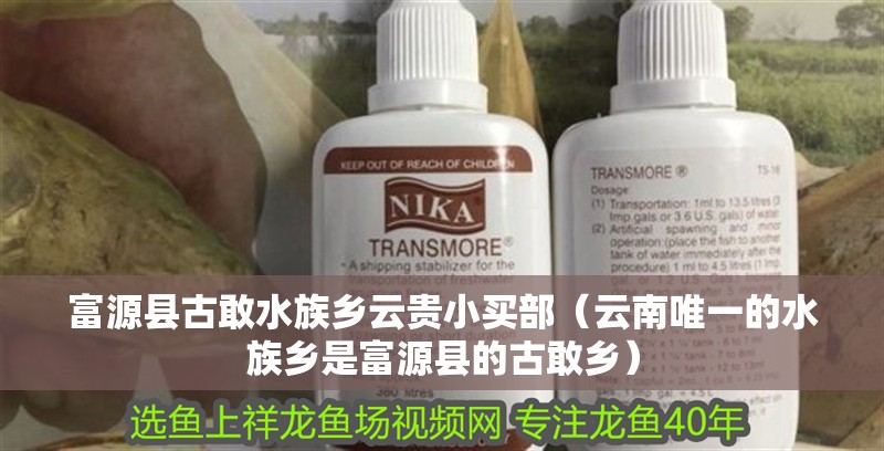 富源縣古敢水族鄉云貴小買部(云南唯一的水族鄉是富源縣的古敢鄉) 全國水族館企業名錄 第2張 富源縣古敢水族鄉云貴小買部(云南唯一的水族鄉是富源縣的古敢鄉) 富源縣古敢水族鄉云貴小買部(云南唯一的水族鄉是富源縣的古敢鄉) 全國水族館企業名錄 第2張