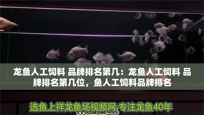 龍魚人工飼料 品牌排名第幾：龍魚人工飼料 品牌排名第幾位，魚人工飼料品牌排名
