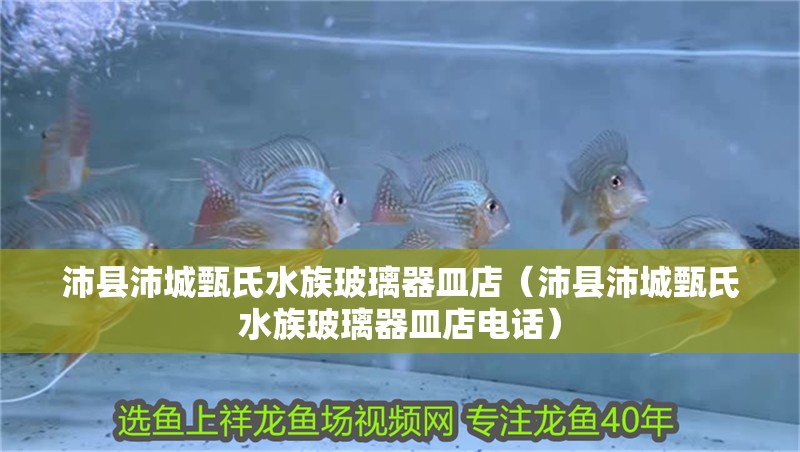 沛縣沛城甄氏水族玻璃器皿店（沛縣沛城甄氏水族玻璃器皿店電話） 沛縣沛城甄氏水族玻璃器皿店（沛縣沛城甄氏水族玻璃器皿店電話） 全國水族館企業名錄 第2張