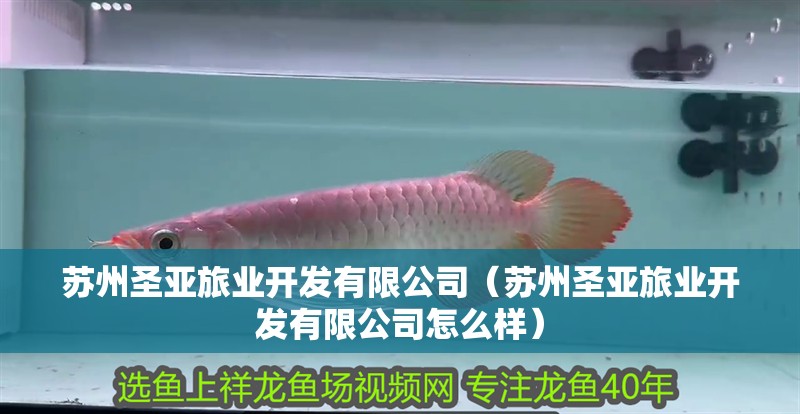 蘇州圣亞旅業開發有限公司（蘇州圣亞旅業開發有限公司怎么樣）