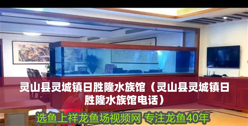 靈山縣靈城鎮日勝隆水族館（靈山縣靈城鎮日勝隆水族館電話）