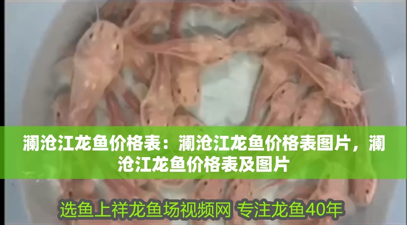 瀾滄江龍魚價格表：瀾滄江龍魚價格表圖片，瀾滄江龍魚價格表及圖片