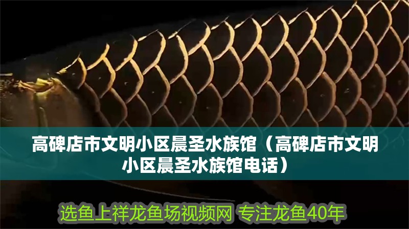 高碑店市文明小區(qū)晨圣水族館（高碑店市文明小區(qū)晨圣水族館電話）