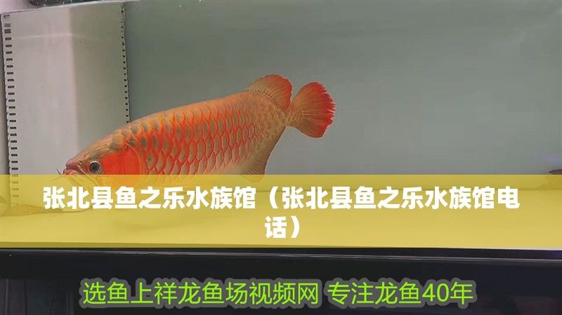 張北縣魚之樂水族館（張北縣魚之樂水族館電話）