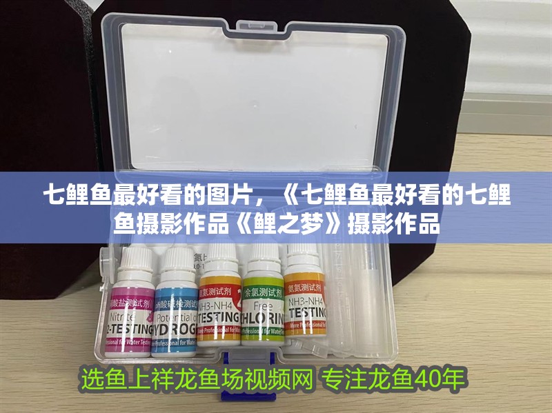 七鯉魚最好看的圖片，《七鯉魚最好看的七鯉魚攝影作品《鯉之夢》攝影作品