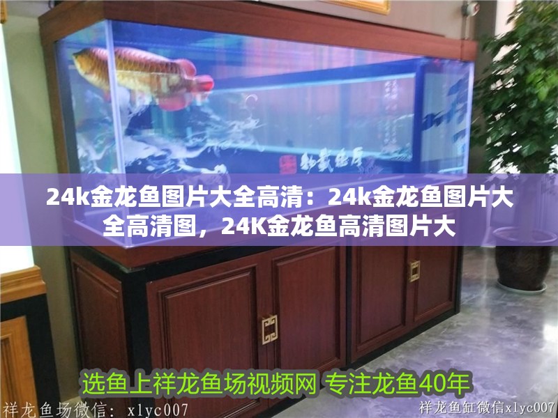 24k金龍魚圖片大全高清：24k金龍魚圖片大全高清圖，24K金龍魚高清圖片大 24k金龍魚圖片大全高清：24k金龍魚圖片大全高清圖，24K金龍魚高清圖片大 水族問答