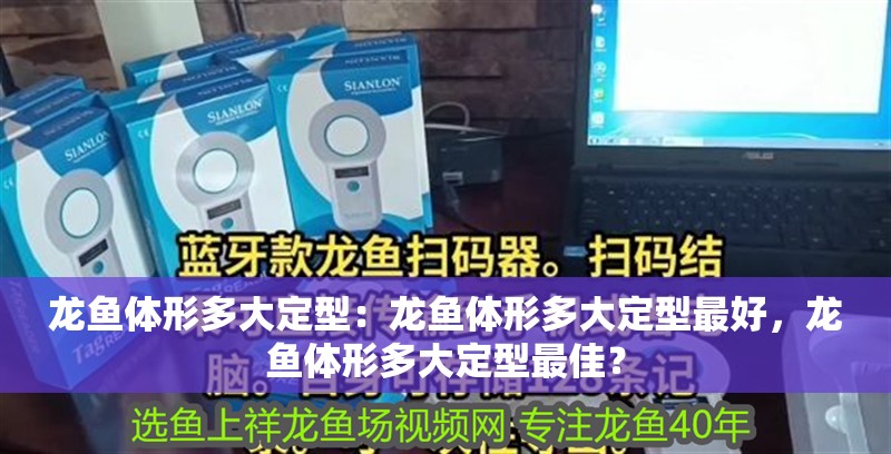 龍魚體形多大定型：龍魚體形多大定型最好，龍魚體形多大定型最佳？