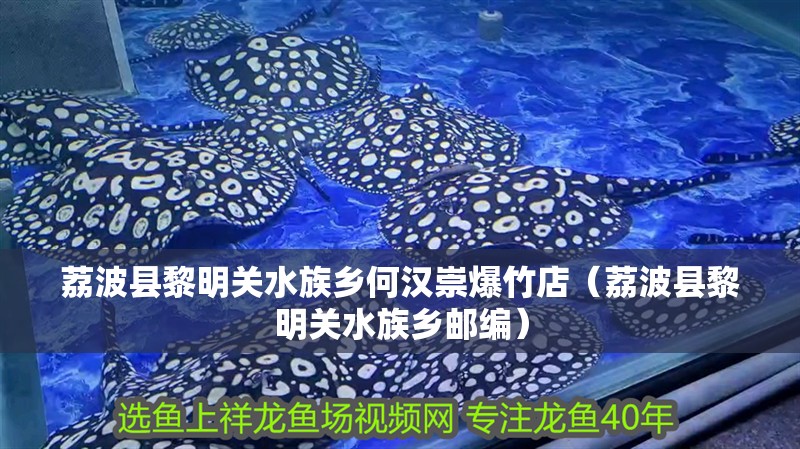荔波縣黎明關(guān)水族鄉(xiāng)何漢崇爆竹店（荔波縣黎明關(guān)水族鄉(xiāng)郵編） 荔波縣黎明關(guān)水族鄉(xiāng)何漢崇爆竹店（荔波縣黎明關(guān)水族鄉(xiāng)郵編） 全國水族館企業(yè)名錄 第2張