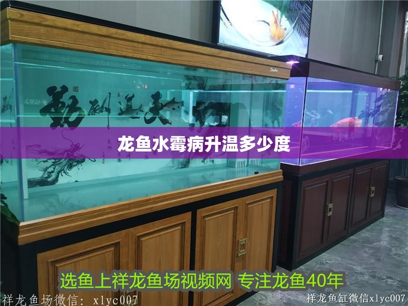 龍魚水霉病升溫多少度