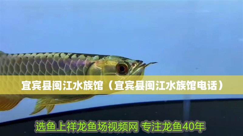 宜賓縣閩江水族館（宜賓縣閩江水族館電話）