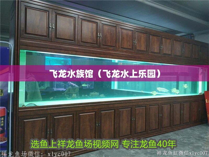 飛龍水族館（飛龍水上樂園）
