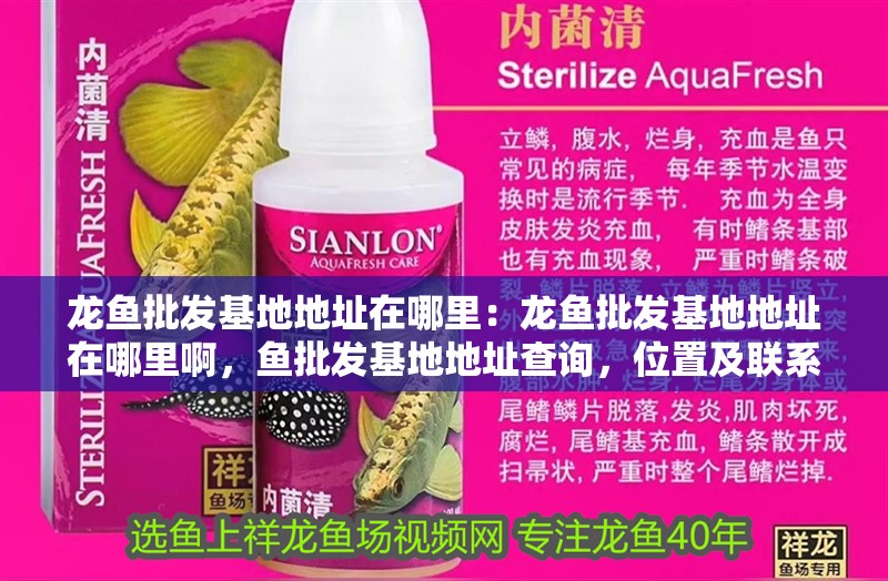 龍魚批發基地地址在哪里：龍魚批發基地地址在哪里啊，魚批發基地地址查詢，位置及聯系方式