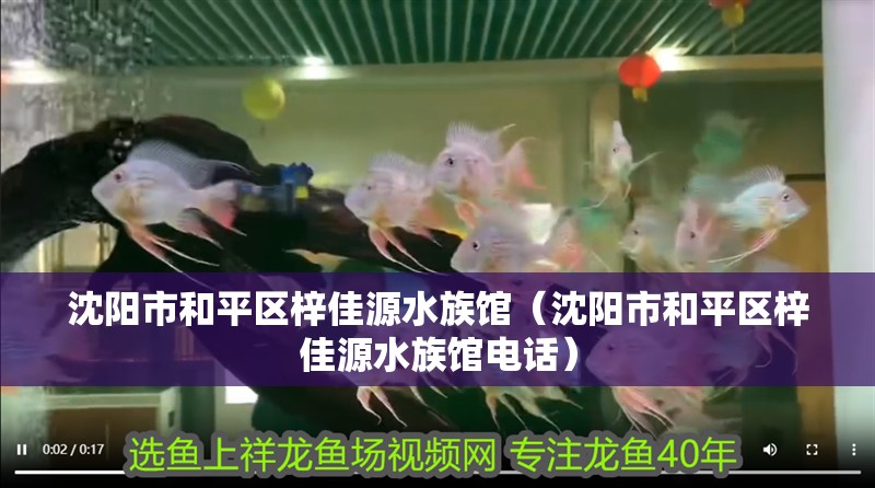 沈陽市和平區梓佳源水族館（沈陽市和平區梓佳源水族館電話）