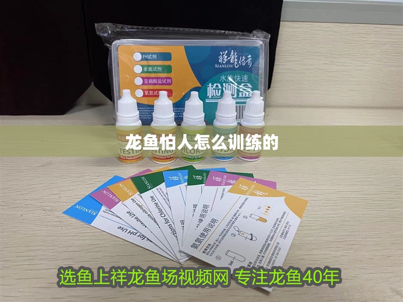 龍魚怕人怎么訓練的