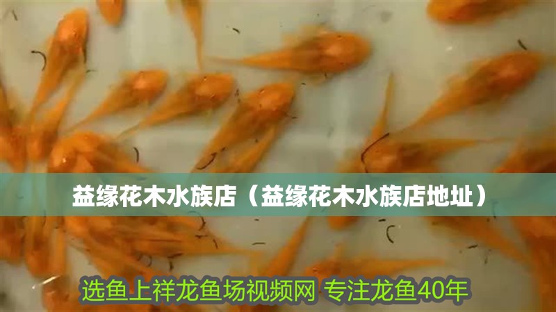 益緣花木水族店(益緣花木水族店地址) 全國水族館企業名錄 第2張 益緣花木水族店(益緣花木水族店地址) 益緣花木水族店(益緣花木水族店地址) 全國水族館企業名錄 第2張