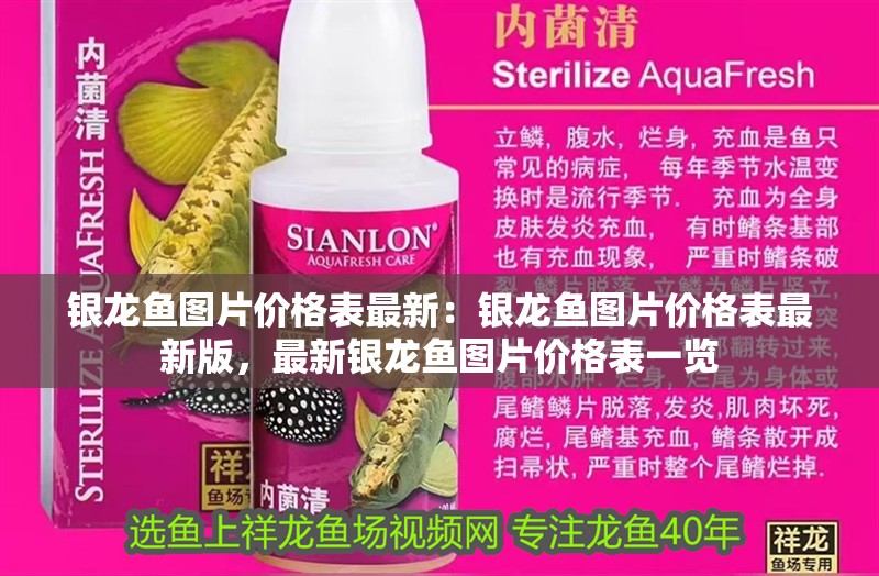 銀龍魚圖片價格表最新：銀龍魚圖片價格表最新版，最新銀龍魚圖片價格表一覽
