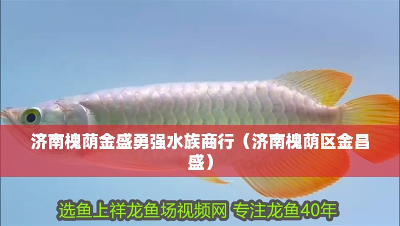 濟南槐蔭金盛勇強水族商行（濟南槐蔭區(qū)金昌盛）