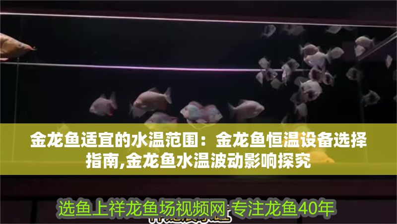 金龍魚適宜的水溫范圍:金龍魚恒溫設備選擇指南,金龍魚水溫波動影響探究 金龍魚百科 第1張 金龍魚適宜的水溫范圍:金龍魚恒溫設備選擇指南,金龍魚水溫波動影響探究 金龍魚適宜的水溫范圍:金龍魚恒溫設備選擇指南,金龍魚水溫波動影響探究 金龍魚百科 第1張