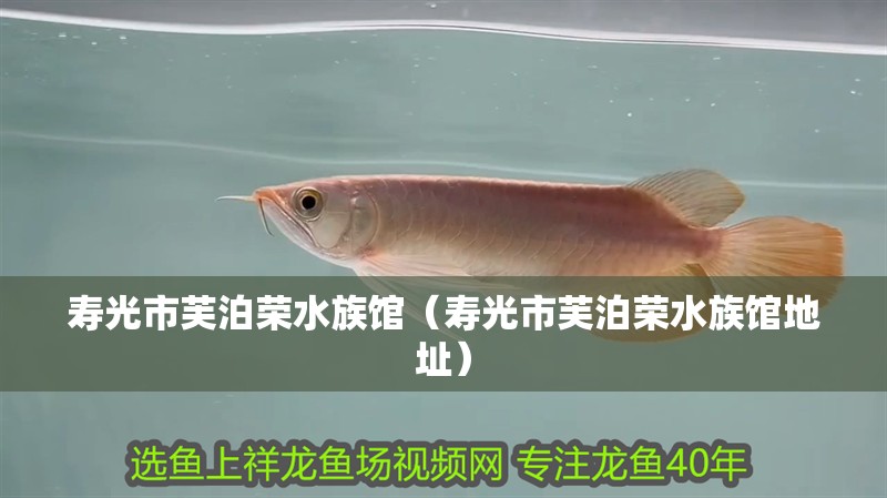 壽光市芙泊榮水族館（壽光市芙泊榮水族館地址）