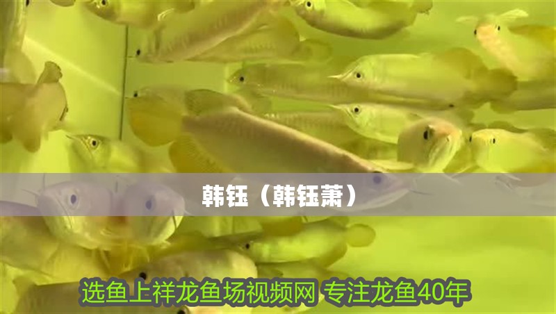 韓鈺(韓鈺蕭) 全國水族館企業名錄 第2張 韓鈺(韓鈺蕭) 韓鈺(韓鈺蕭) 全國水族館企業名錄 第2張