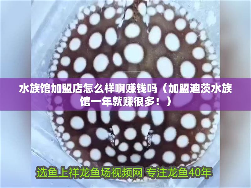 水族館加盟店怎么樣啊賺錢嗎（加盟迪茨水族館一年就賺很多！）