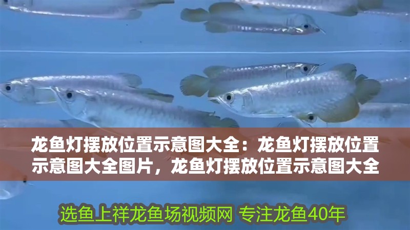 龍魚燈擺放位置示意圖大全：龍魚燈擺放位置示意圖大全圖片，龍魚燈擺放位置示意圖大全，圖片詳解與布置指南
