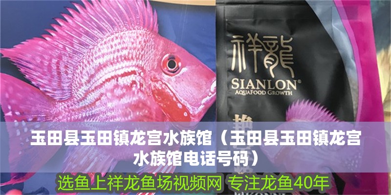 玉田縣玉田鎮龍宮水族館（玉田縣玉田鎮龍宮水族館電話號碼）