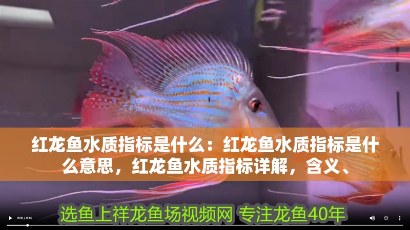 紅龍魚水質指標是什么：紅龍魚水質指標是什么意思，紅龍魚水質指標詳解，含義、