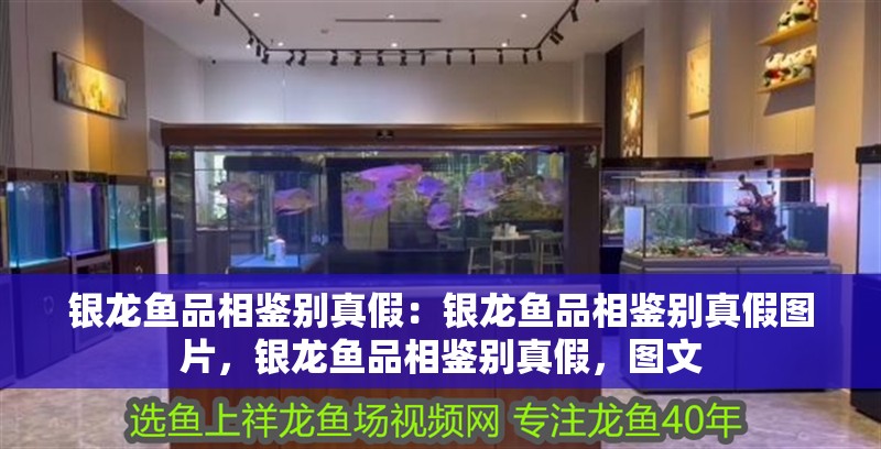 銀龍魚品相鑒別真假：銀龍魚品相鑒別真假圖片，銀龍魚品相鑒別真假，圖文