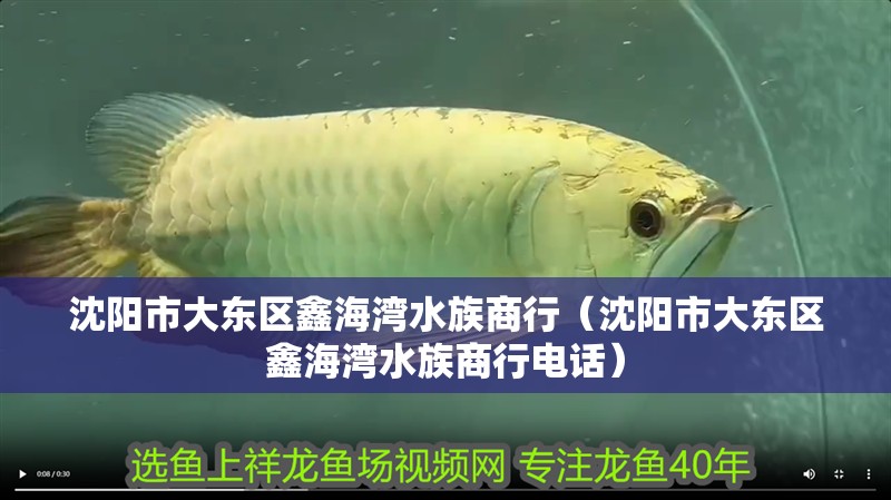 沈陽市大東區鑫海灣水族商行（沈陽市大東區鑫海灣水族商行電話） 沈陽市大東區鑫海灣水族商行（沈陽市大東區鑫海灣水族商行電話） 全國水族館企業名錄 第2張