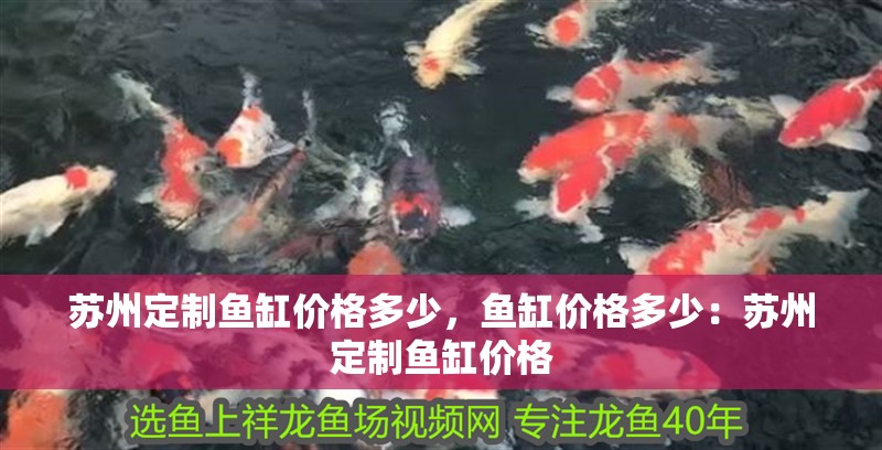 蘇州定制魚缸價格多少，魚缸價格多少：蘇州定制魚缸價格