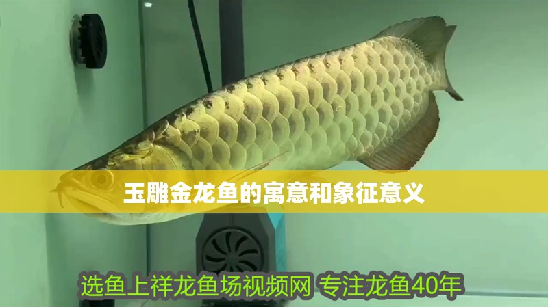 玉雕金龍魚(yú)的寓意和象征意義