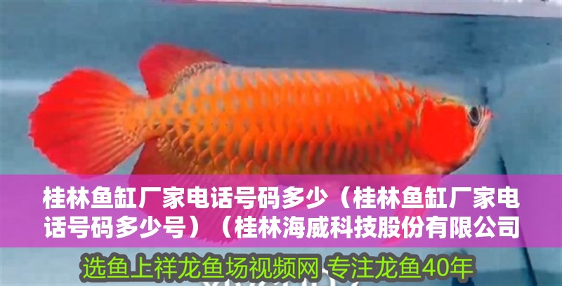 桂林魚缸廠家電話號碼多少（桂林魚缸廠家電話號碼多少號）（桂林海威科技股份有限公司在愛企查共有5條聯系方式）