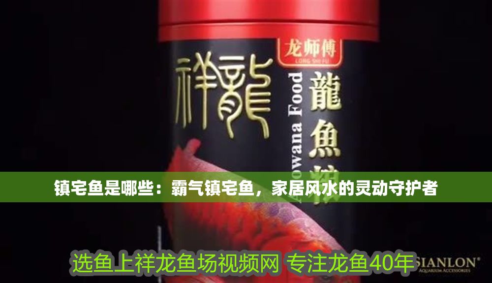 鎮宅魚是哪些：霸氣鎮宅魚，家居風水的靈動守護者