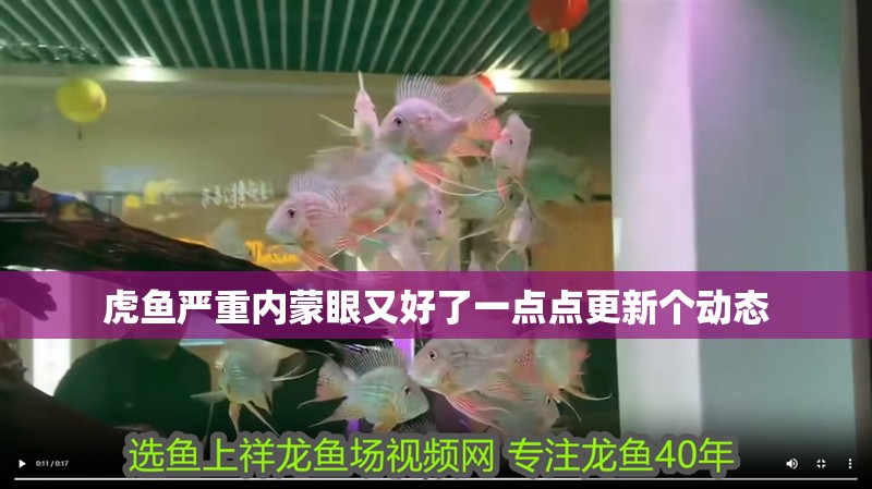 虎魚嚴重內蒙眼又好了一點點更新個動態