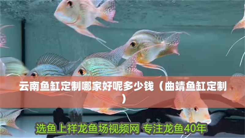 云南魚缸定制哪家好呢多少錢（曲靖魚缸定制）