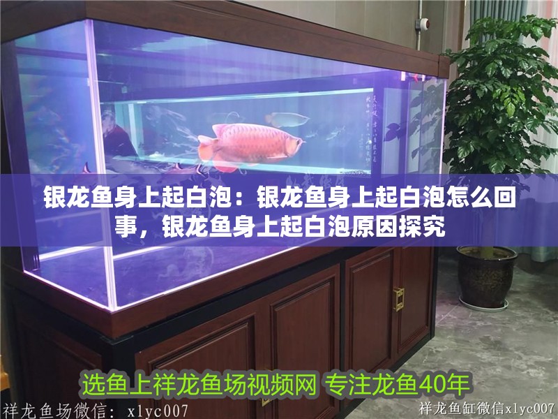 銀龍魚身上起白泡：銀龍魚身上起白泡怎么回事，銀龍魚身上起白泡原因探究