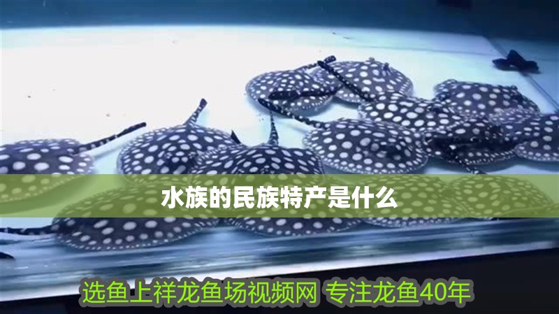 水族的民族特產是什么
