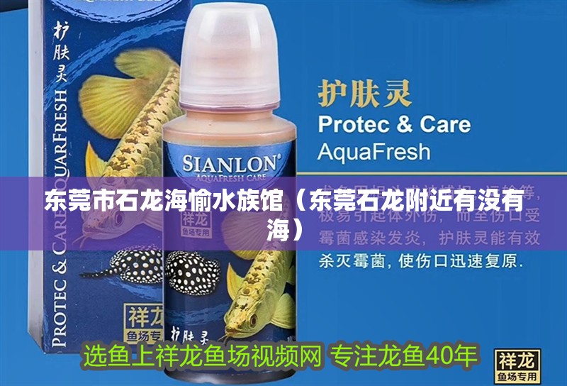 東莞市石龍海愉水族館（東莞石龍附近有沒(méi)有海） 東莞市石龍海愉水族館（東莞石龍附近有沒(méi)有海） 全國(guó)水族館企業(yè)名錄 第2張