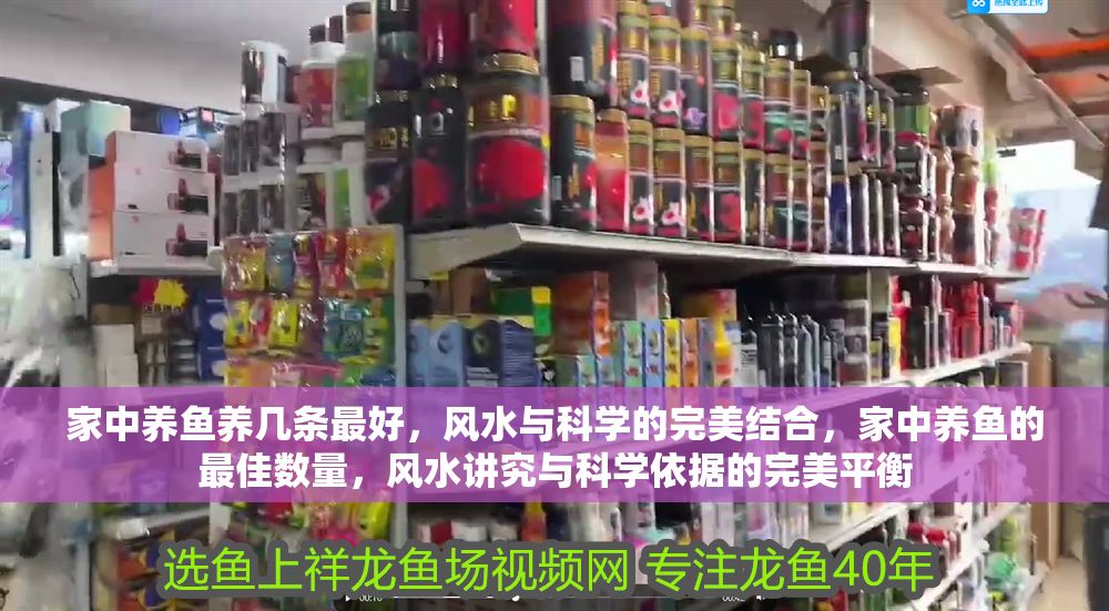 家中養(yǎng)魚養(yǎng)幾條最好，風(fēng)水與科學(xué)的完美結(jié)合，家中養(yǎng)魚的最佳數(shù)量，風(fēng)水講究與科學(xué)依據(jù)的完美平衡
