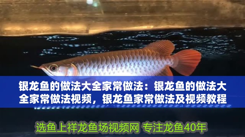銀龍魚的做法大全家常做法：銀龍魚的做法大全家常做法視頻，銀龍魚家常做法及視頻教程大全