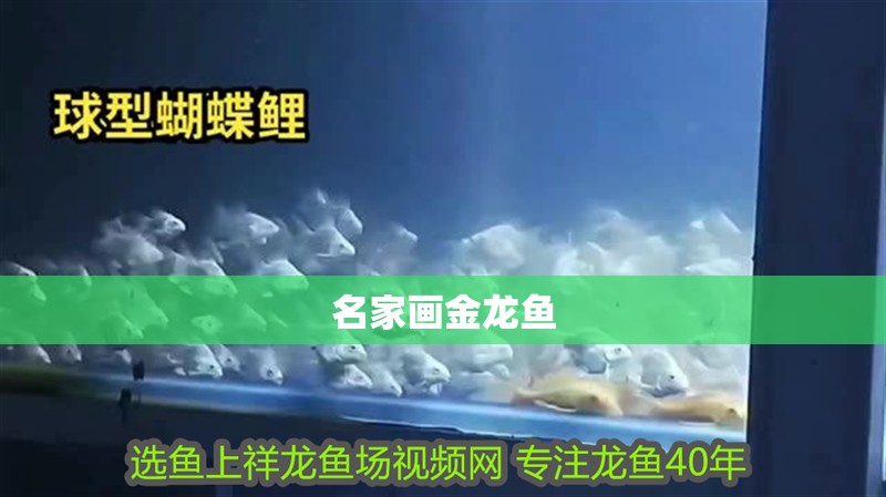 名家畫金龍魚 名家畫金龍魚 龍魚百科 第4張
