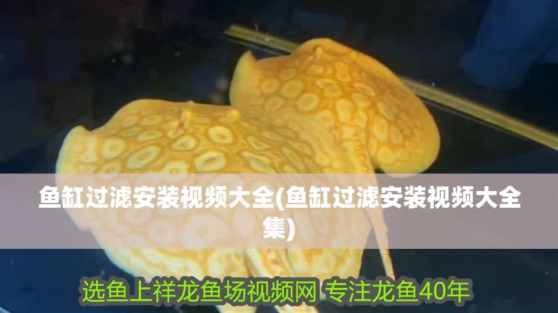 魚缸過濾安裝視頻大全(魚缸過濾安裝視頻大全集)