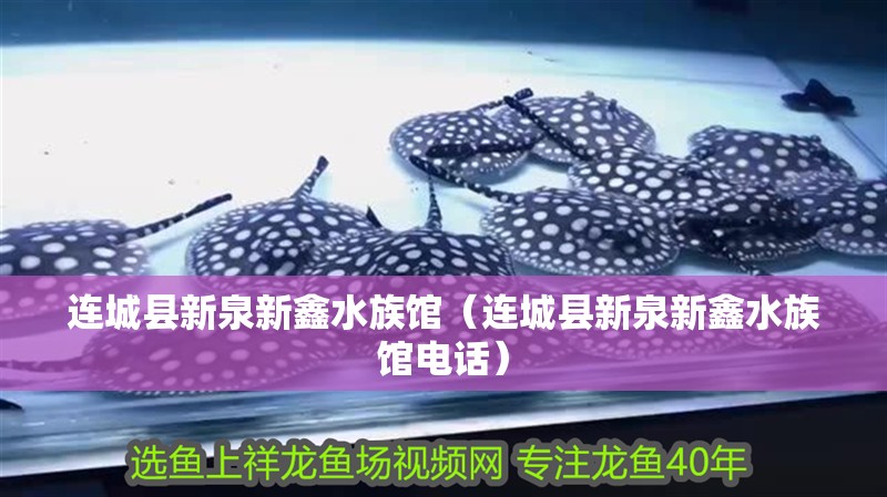 連城縣新泉新鑫水族館（連城縣新泉新鑫水族館電話）