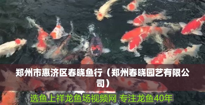 鄭州市惠濟區春曉魚行（鄭州春曉園藝有限公司） 鄭州市惠濟區春曉魚行（鄭州春曉園藝有限公司） 全國水族館企業名錄 第2張